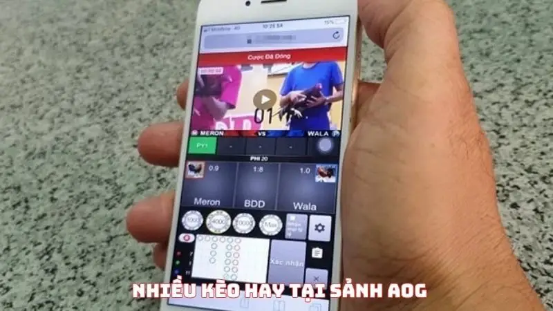 Nhiều kèo hay tại sảnh AOG